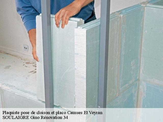 Plaquiste pose de cloison et placo  causses-et-veyran-34490 SOULAIGRE Gino Rénovation 34